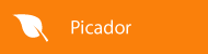 Picador