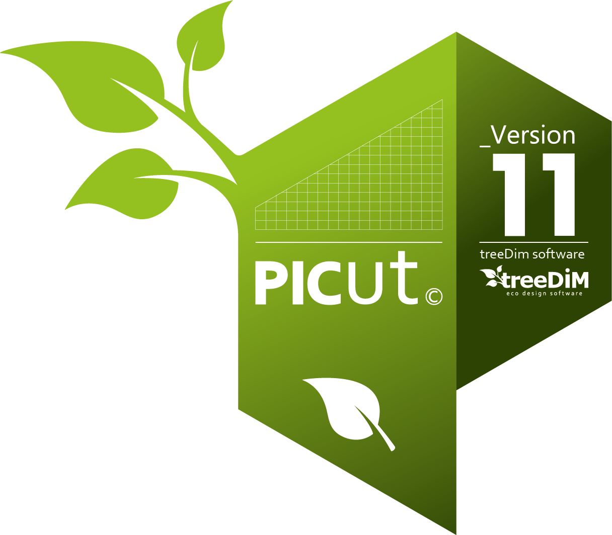 PicDécoupe 11